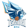 Цмоки-Минск