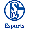Schalke 04 Evolution