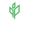 Sprout