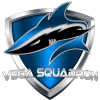 Vega Squadron